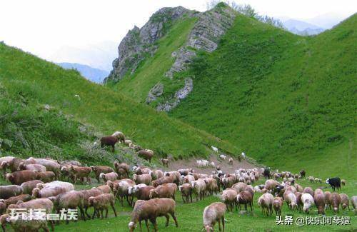 养殖什么投资少又挣钱(在农村这5类养殖成本低收益高)-图片2